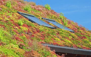 Crosland Moor living roof systems